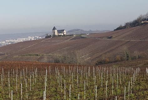 Foto des Partnerweinguts Laherte Frères