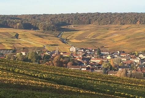 Laherte Frères - 2