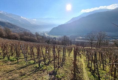 Foto della tenuta - L'Aitonnement