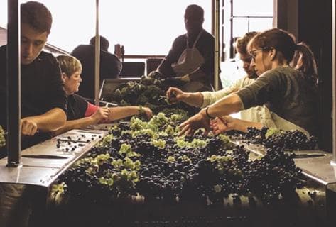 Larmandier-Bernier - 2