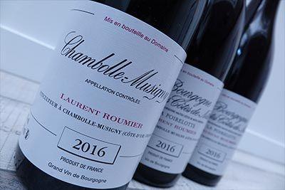 Laurent Roumier - 1