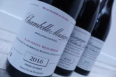 Laurent Roumier - 1