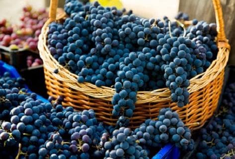 Foto della tenuta - Le Clos de la Barthassade