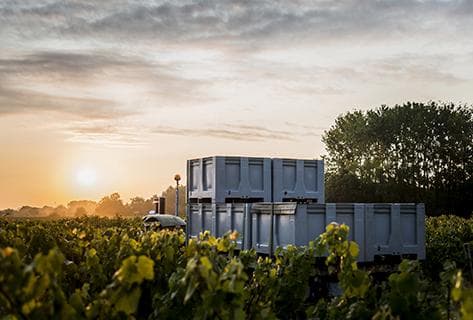 Photo du domaine partenaire Le Fay d'Homme