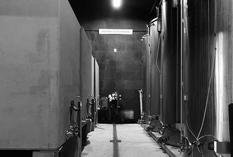 Le Fay d'Homme - 3