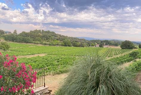 Le Sang des Cailloux - 2