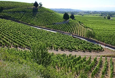 Le Sang des Cailloux - 4