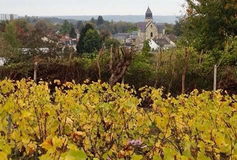 Foto des Partnerweinguts Leclerc-Briant