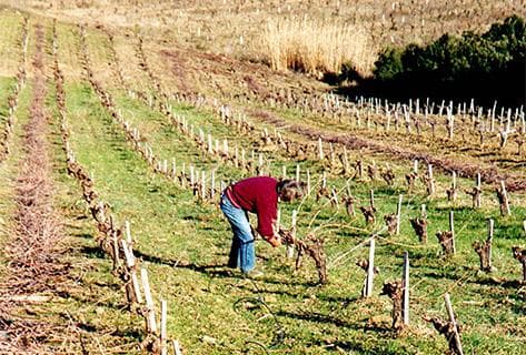Léon Barral - 1