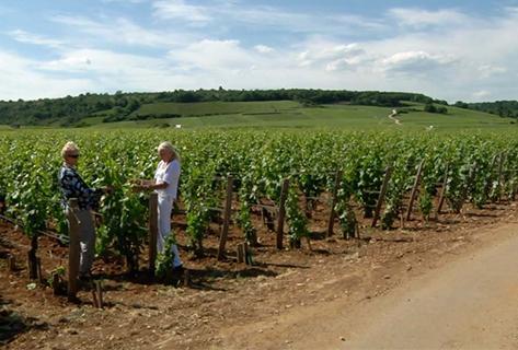 Leroy (domaine) - 2