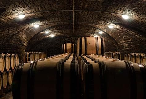 Leroy (domaine) - 4