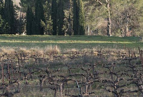 Les Bastides - 4