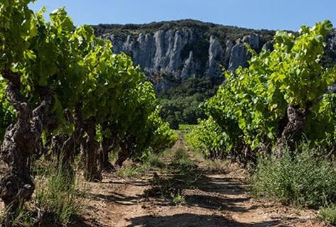 Les Cailloux - 2