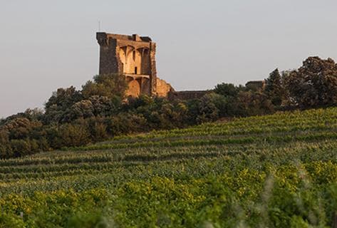 Les Cailloux - 4