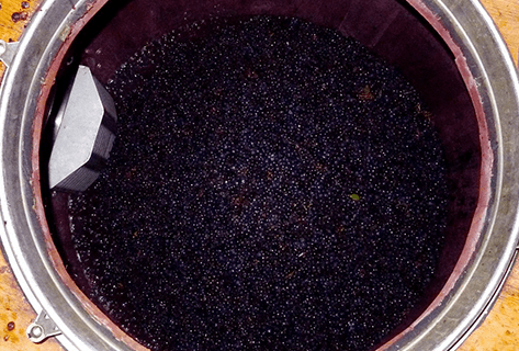 Les Closeries des Moussis - 4