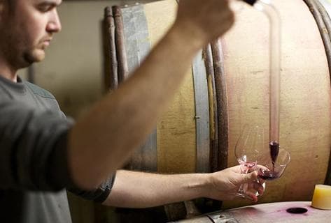 Les Vignes Oubliées - 4