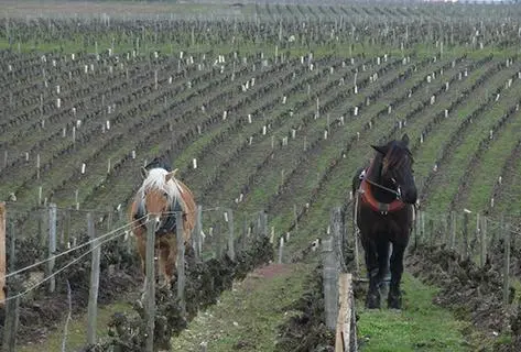 Lise et Bertrand Jousset - 2