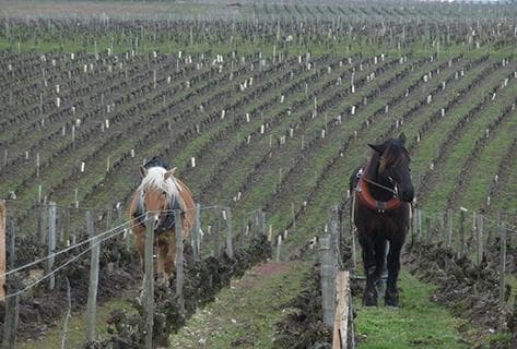 Lise et Bertrand Jousset - 2