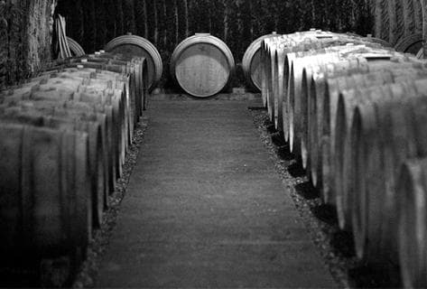 Lise et Bertrand Jousset - 4