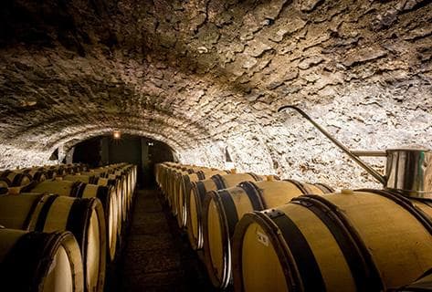 Long Depaquit - Albert Bichot - 4