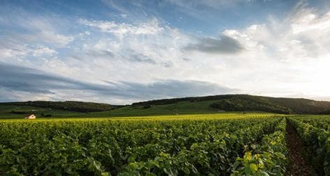 Photo principale du domaine