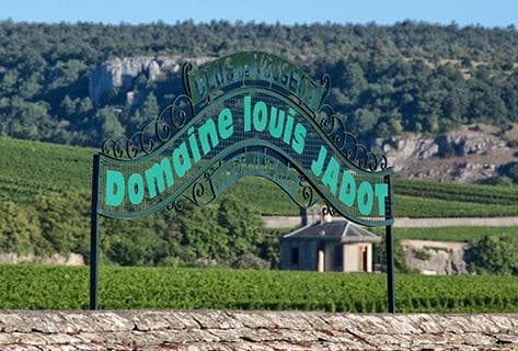 Foto della tenuta - Louis Jadot