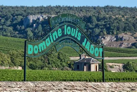 Photo du domaine partenaire Louis Jadot