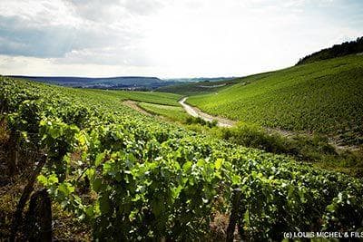 Louis Michel et Fils - 2