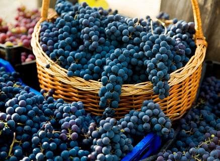 Lucien Boillot & Fils - 2