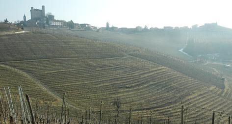 Photo principale du domaine