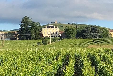 Foto della tenuta - Marc Delienne