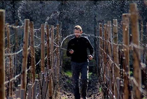 Marc Kreydenweiss - 2