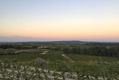 Foto della tenuta - Marcel Richaud