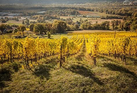 Marie et Florian Curtet - 2