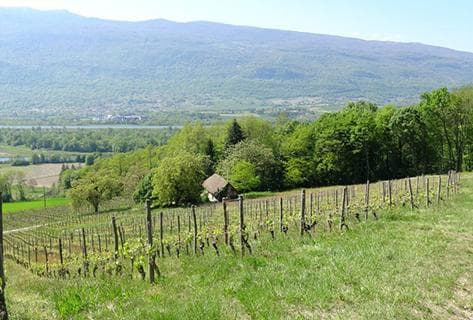 Marie et Florian Curtet - 3