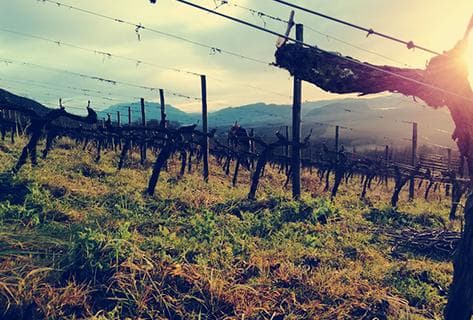 Marie et Florian Curtet - 4