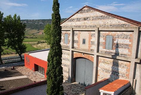 Foto della tenuta - Mas Amiel