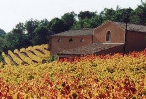 Foto della tenuta - Mas Champart