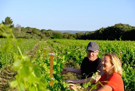 Foto della tenuta - Mas Combarela