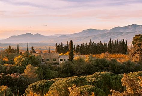 Foto della tenuta - Mas Daumas Gassac