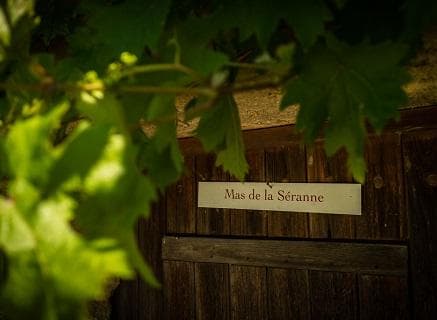 Mas de la Séranne - 2