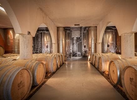 Mas de la Séranne - 3