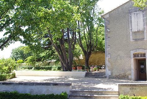 Foto della tenuta - Mas Saint-Louis