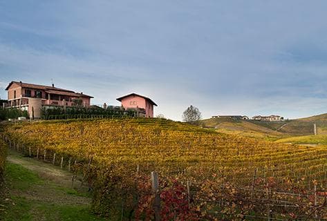 Foto della tenuta - Mauro Molino