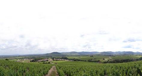 Photo principale du domaine