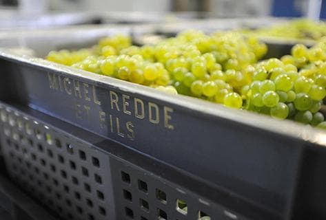 Michel Redde & Fils - 2