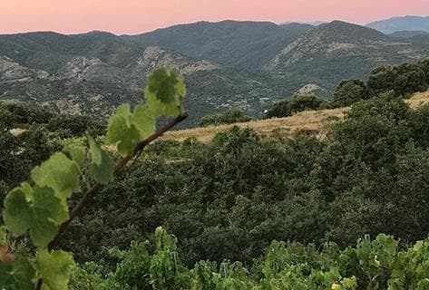 Foto della tenuta - Modat