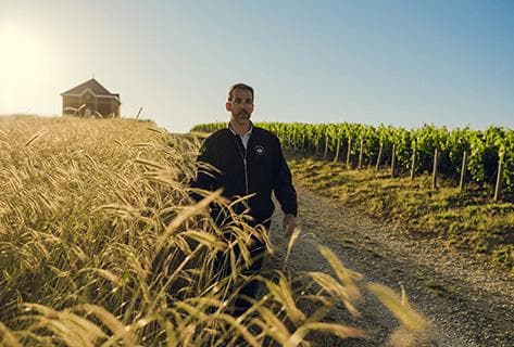 Moët et Chandon - 3