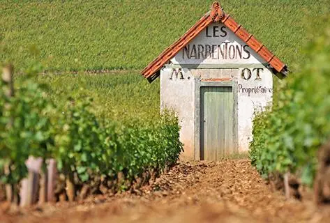 Mongeard-Mugneret - 1