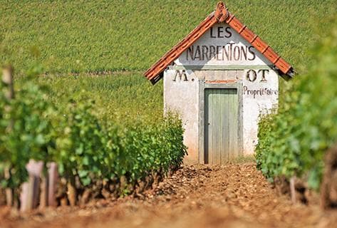 Mongeard-Mugneret - 1